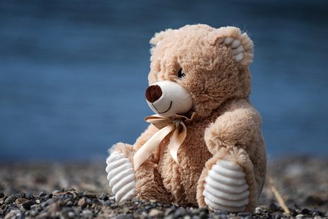 This Day in History: Morris Michtom releases first ever Teddy bear