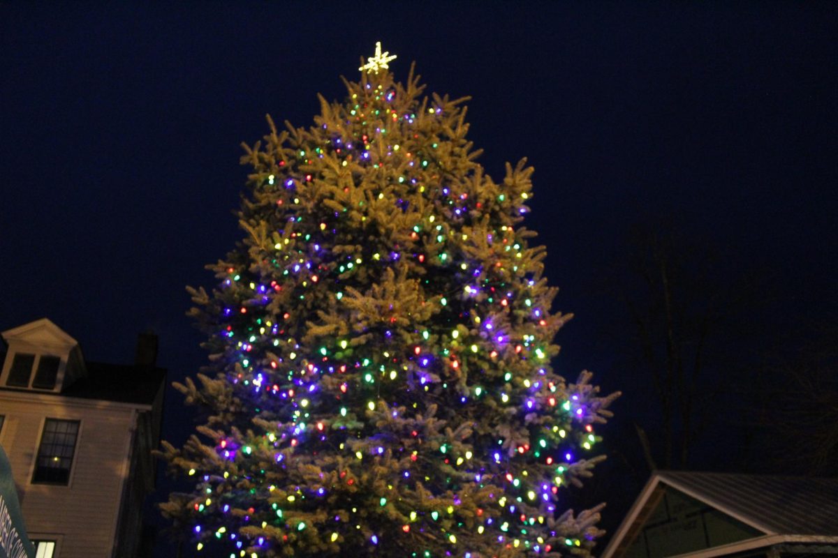 The tree, located near the Community House, was illuminated at 5 p.m.