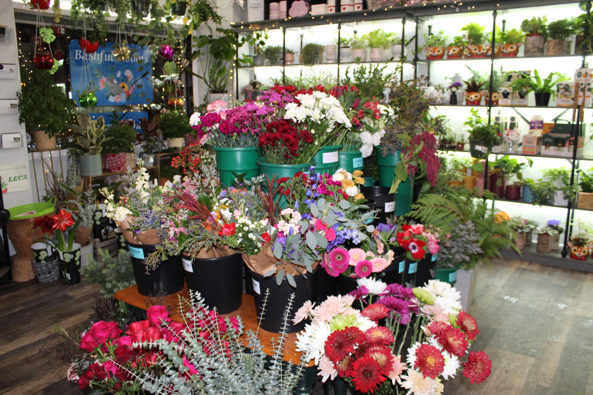 Bashful Blooms offers floral arrangements to community