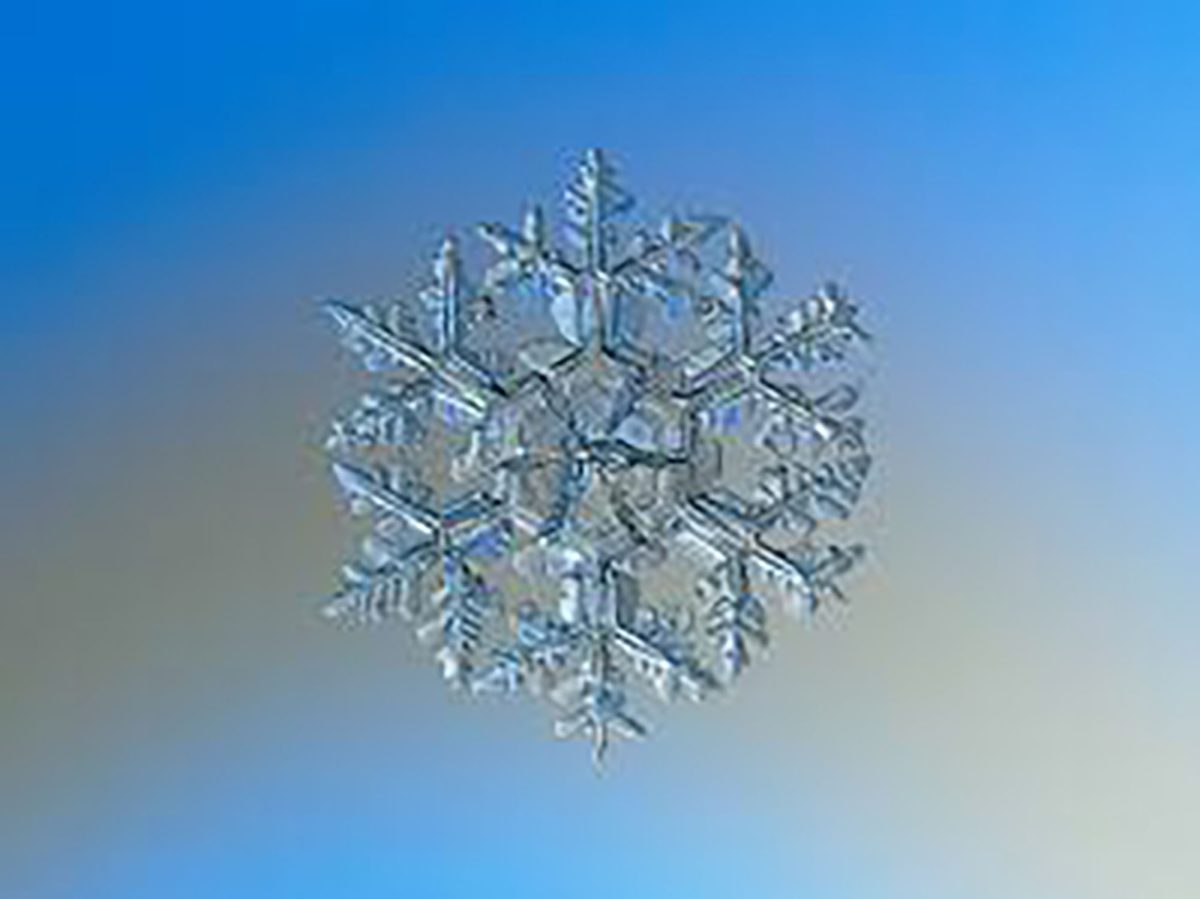 The scientific marvel behind snowflakes
